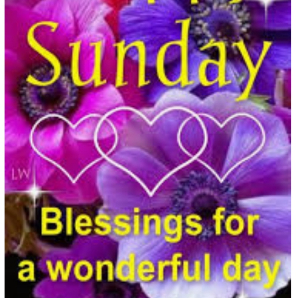 Happy Poshing